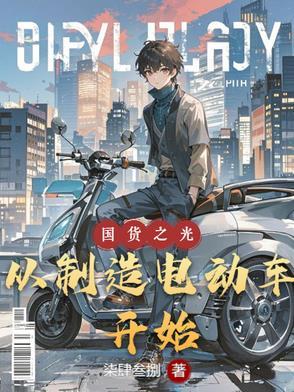 电动车国产车啥意思
