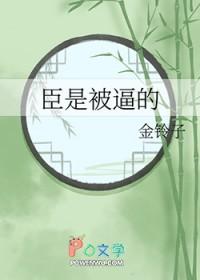 臣是我的意思吗