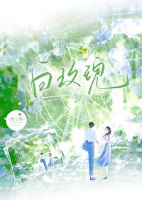 白玫瑰为什么不能随便送人