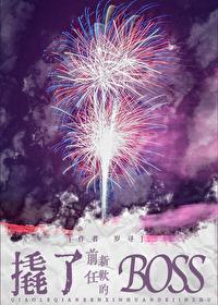 撬了前任新欢的Boss资源