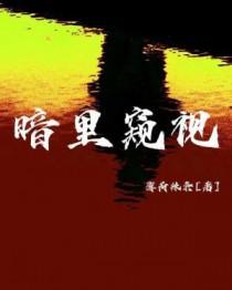 暗中窥伺哪个字错了