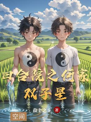 四合院之何家双子星免费观看