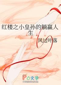 红楼之小婢