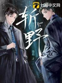 斩野讲了什么故事