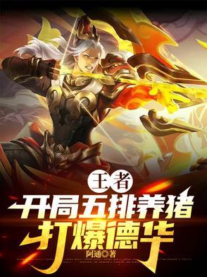 五排养猪禁哪些英雄