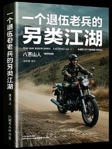 一个退伍老兵的另类江湖电影
