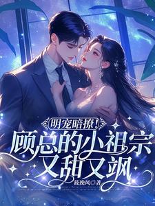 顾总的小祖宗惊煞全球