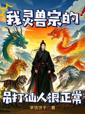 主角是灵兽宗的