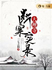 大理寺断案实录百度