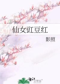 仙女豇豆红TXT