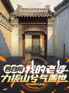 四合院我傻柱开局