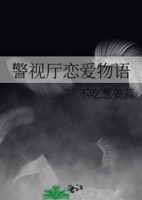 警视厅的恋爱物语集数