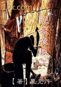 农民工的逆袭