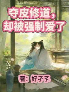 夺皮讲的是啥