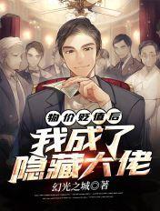 我成了隐藏大佬 幻光之城