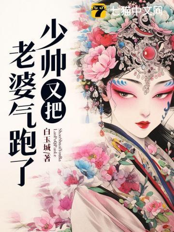 少帅你老婆又跑了的