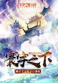 寰宇之下的意思