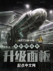 我的物品有升级面板 第521章