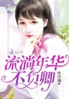 流年不负繁华什么意思