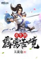 重生到霹雳苦境免费阅读