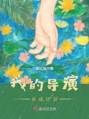 我的导演生涯
