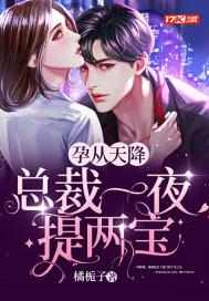 总裁天价宝贝
