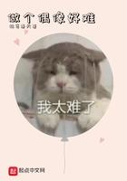 做个偶像好难 知轩藏书