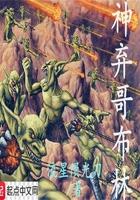 神选哥布林笔趣阁