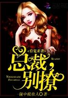 有鬼来袭总裁
