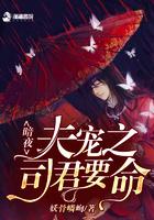 暗夜君皇全文