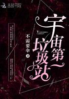 宇宙垃圾组