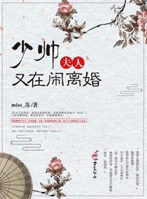 少帅夫人又在闹离婚水氲天澜