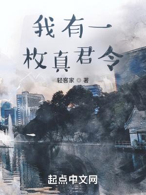 我有一枚真君令txt
