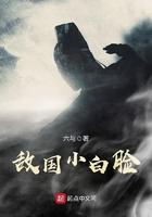 敌国小白脸 六与