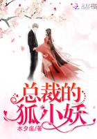 总裁的仙女狐妻