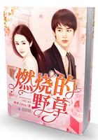 燃烧野草未删减版
