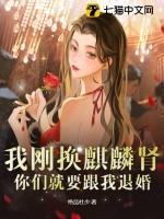 你们就要跟我退婚txt