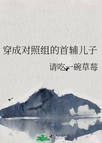 穿成对照组的首辅儿子类似