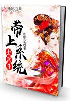带着系统宫斗的