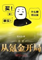 无敌从氪金开始青鸾梦