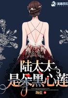 陆太太是朵黑心莲 伽蓝