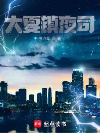 大夏镇夜司免费阅读