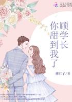 学长顾南风姜茶茶免费阅读