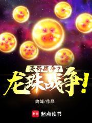 圣杯战争龙珠战争免费阅读