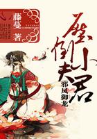 邪凤御龙压倒小夫君