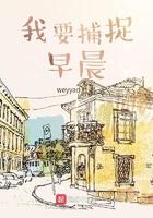 我要捕捉早晨txt