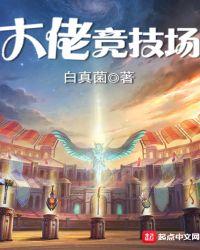 大佬竞速