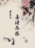 重生之善德恶报作者弦