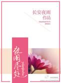 夜阑尽处txt