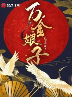 万金娘子简介
